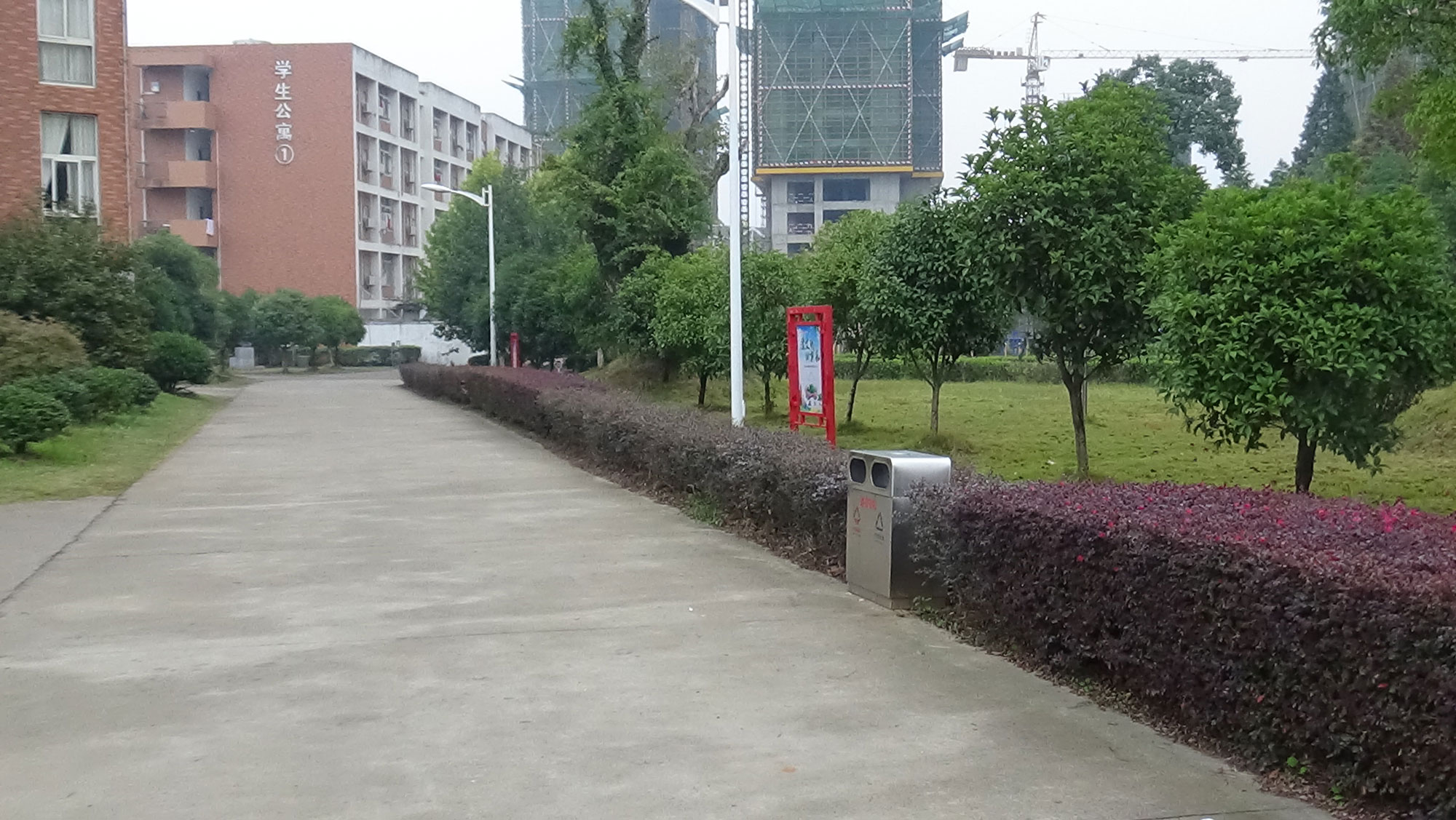 校园道路