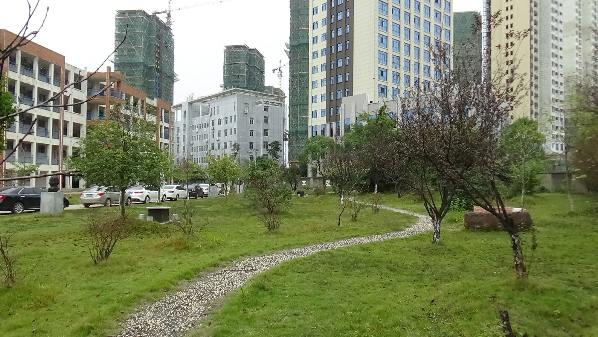 校园绿地